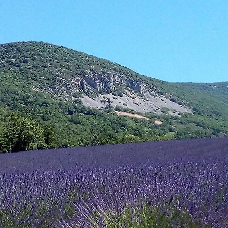 Gite La Fleur D Olivier Ньон Экстерьер фото