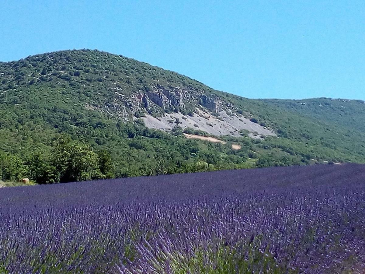 Gite La Fleur D Olivier Ньон Экстерьер фото
